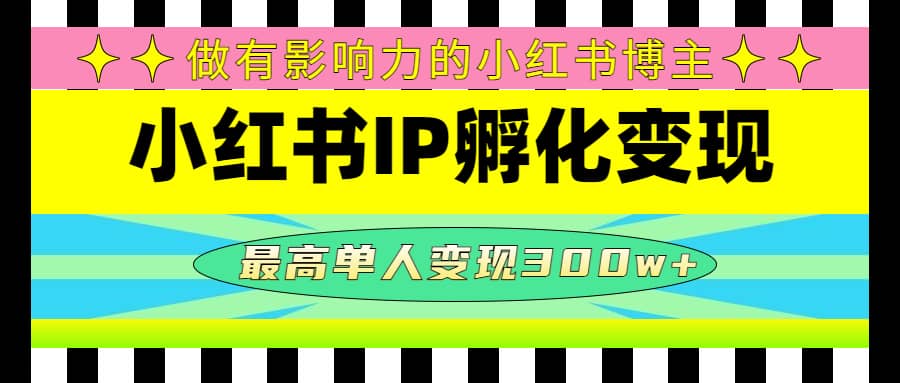 某收费培训-小红书IP孵化变现：做有影响力的小红书博主-左左项目网