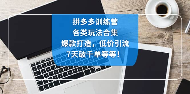 拼多多训练营：各玩法合集，爆款打造，低价引流，7天破千单等等-左左项目网