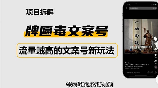 2023抖音快手毒文案新玩法，牌匾文案号，起号快易变现-左左项目网