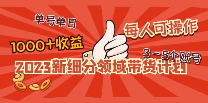 2023新细分领域带货计划：单号单日1000 收益不难，每人可操作3-5个账号-左左项目网