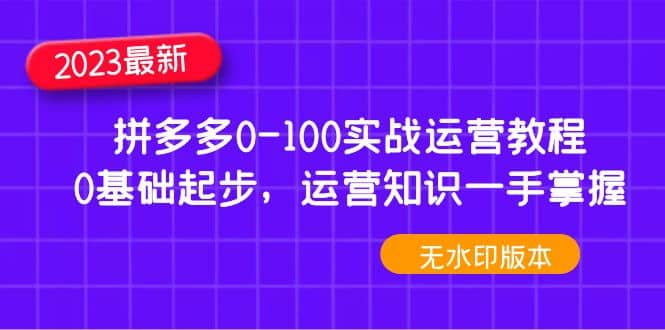 2023拼多多0-100实战运营教程，0基础起步，运营知识一手掌握（无水印）-左左项目网