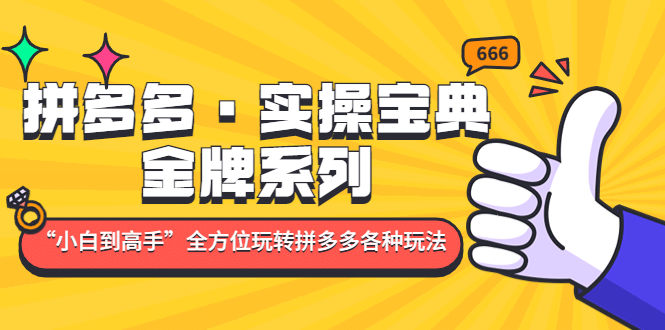 拼多多·实操宝典：金牌系列“小白到高手”带你全方位玩转拼多多各种玩法-左左项目网