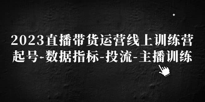 2023直播带货运营线上训练营，起号-数据指标-投流-主播训练-左左项目网