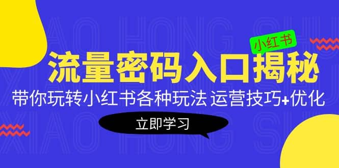 小红书流量密码入口揭秘：带你玩转小红书各种玩法 运营技巧 优化-左左项目网