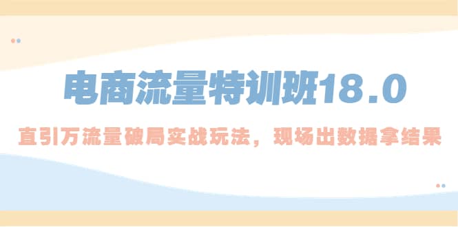 电商流量特训班18.0，直引万流量破局实操玩法，现场出数据拿结果-左左项目网