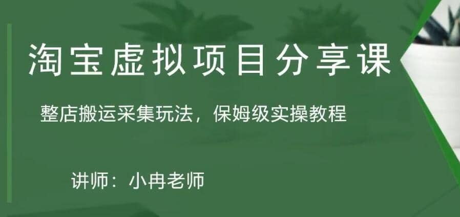 淘宝虚拟整店搬运采集玩法分享课：整店搬运采集玩法，保姆级实操教程-左左项目网