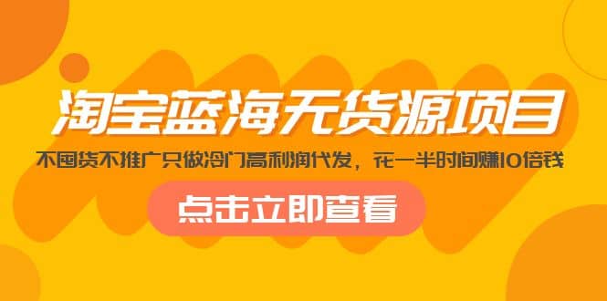 淘宝蓝海无货源项目，不囤货不推广只做冷门高利润代发-左左项目网