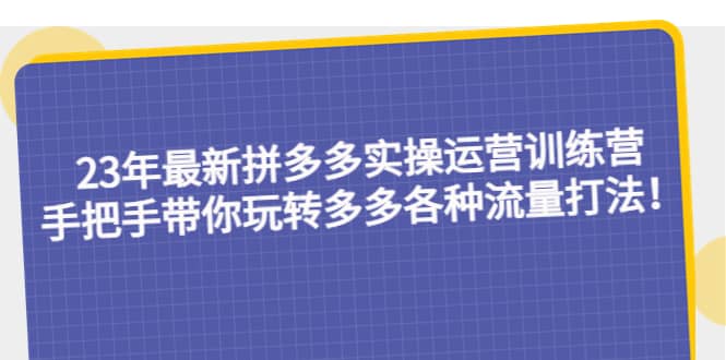 23年最新拼多多实操运营训练营：手把手带你玩转多多各种流量打法！-左左项目网