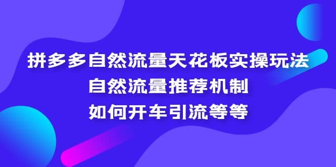 拼多多自然流量天花板实操玩法：自然流量推荐机制，如何开车引流等等-左左项目网