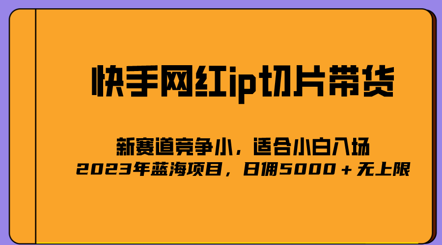 2023爆火的快手网红IP切片，号称日佣5000＋的蓝海项目，二驴的独家授权-左左项目网