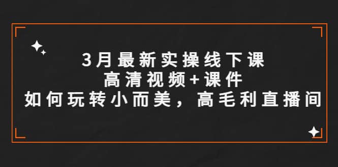 3月最新实操线下课高清视频 课件，如何玩转小而美，高毛利直播间-左左项目网