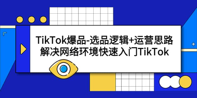 TikTok爆品-选品逻辑 运营思路：解决网络环境快速入门TikTok-左左项目网