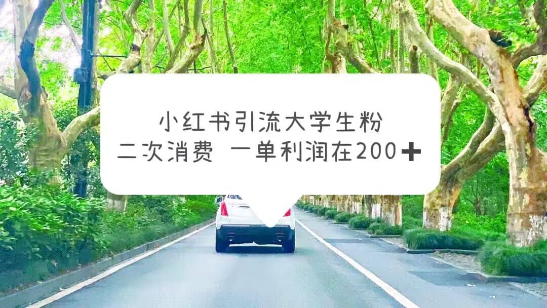 小红书引流大学生粉，变现项目，一单利润在200 （教程 资源）-左左项目网