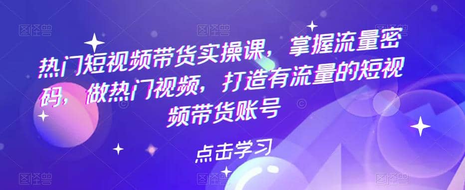 热门短视频带货实战 掌握流量密码 做热门视频 打造有流量的短视频带货账号-左左项目网