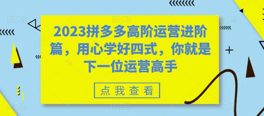 2023拼多多高阶运营进阶篇，用心学好四式，你就是下一位运营高手-左左项目网