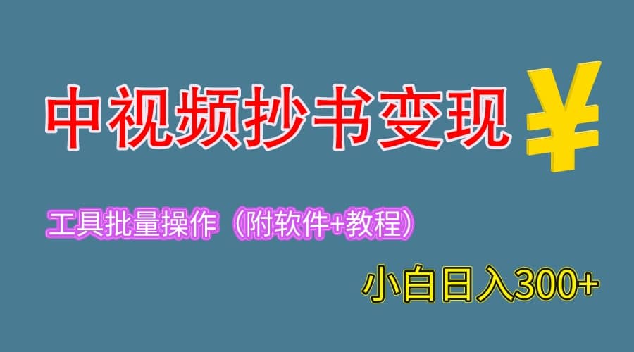 2023中视频抄书变现（附工具 教程），一天300 ，特别适合新手操作的副业-左左项目网