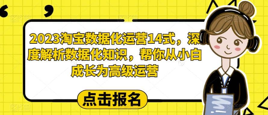 2023淘宝数据化-运营 14式，深度解析数据化知识，帮你从小白成长为高级运营-左左项目网