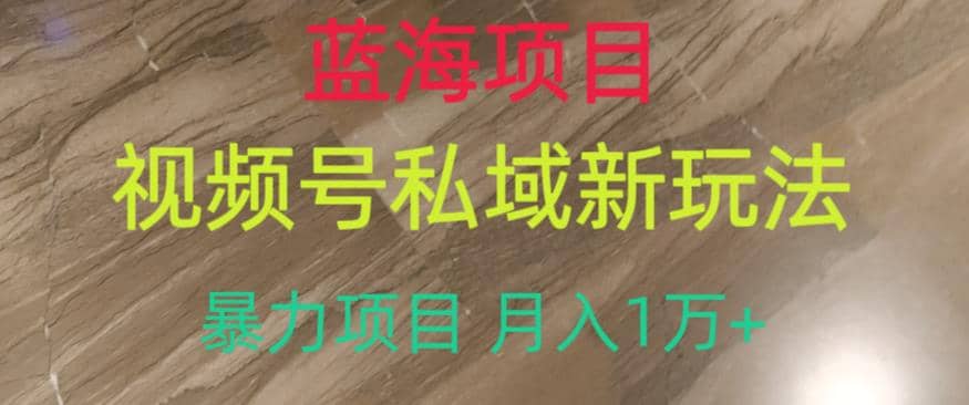 蓝海项目，视频号私域新玩法，暴力项目月入1万 【揭秘】-左左项目网