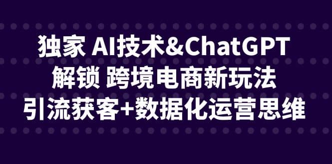 独家 AI技术ChatGPT解锁 跨境电商新玩法，引流获客 数据化运营思维-左左项目网