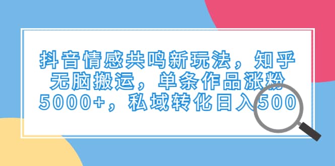 抖音情感共鸣新玩法，知乎无脑搬运，单条作品涨粉5000 ，私域转化日入500-左左项目网