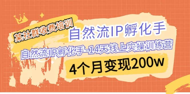 某社群收费培训：自然流IP 孵化手-14天线上实操训练营 4个月变现200w-左左项目网