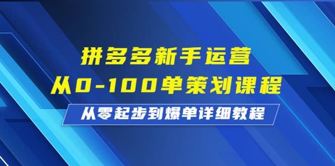 拼多多新手运营从0-100单策划课程，从零起步到爆单详细教程-左左项目网