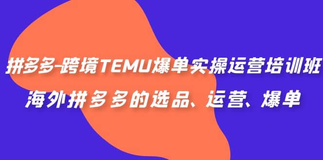 拼多多-跨境TEMU爆单实操运营培训班，海外拼多多的选品、运营、爆单-左左项目网