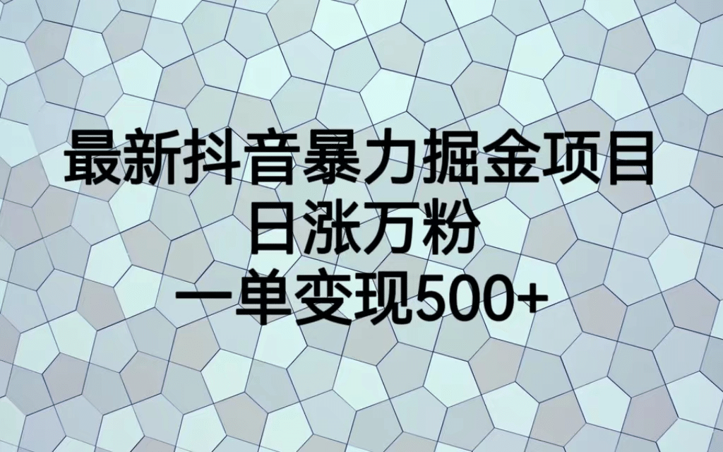 最火热的抖音暴力掘金项目，日涨万粉，多种变现方式，一单变现可达500-左左项目网