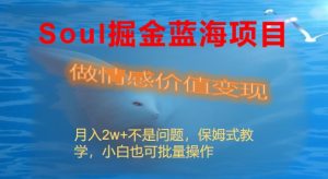 Soul掘金蓝海项目细分赛道，做情感价值变现，月入2w+不是问题-左左项目网