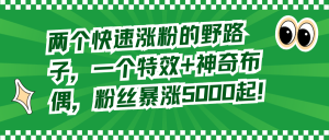 两个快速涨粉的野路子，一个特效+神奇布偶，粉丝暴涨5000起！-左左项目网