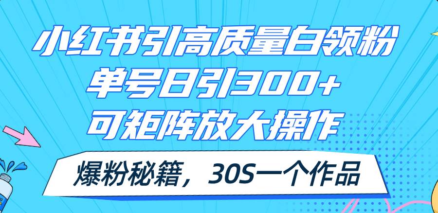 小红书引高质量白领粉，单号日引300+，可放大操作，爆粉秘籍！30s一个作品-左左项目网