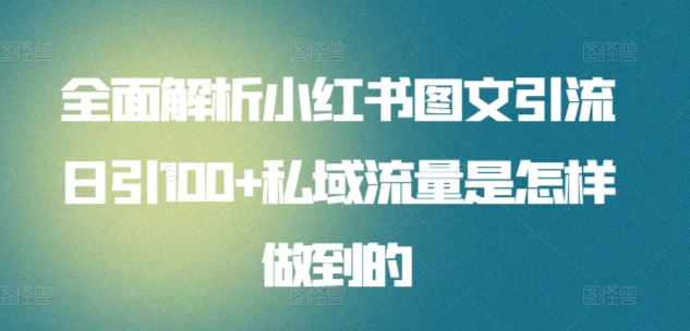 日引流100私域流量小红书图文是怎样做到的全面解析-左左项目网