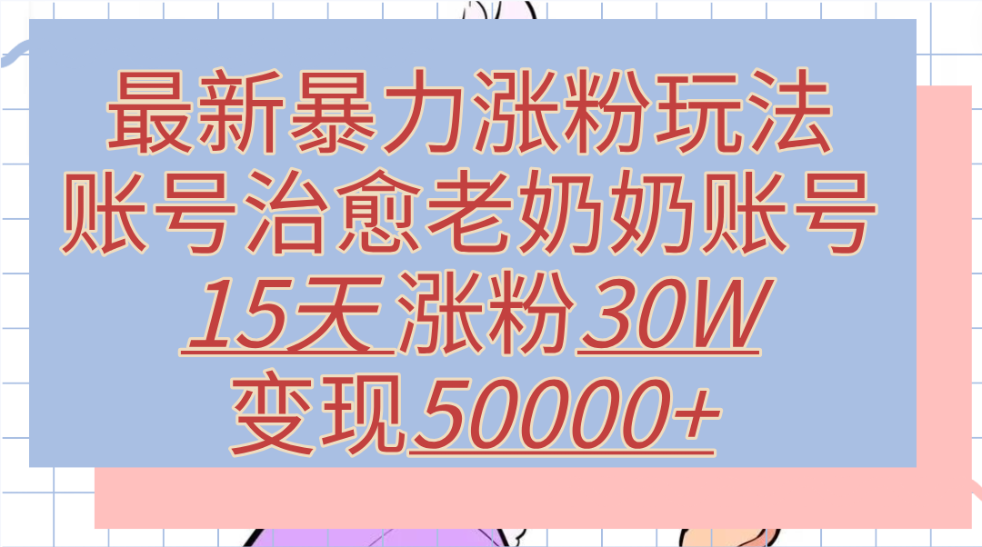 最新暴力涨粉玩法，治愈老奶奶账号，15天涨粉30W，变现50000+【揭秘】-左左项目网