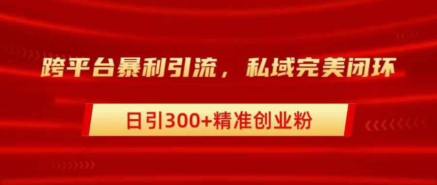 跨平台暴力引流，私域完美闭环，日引300+精准创业粉-左左项目网