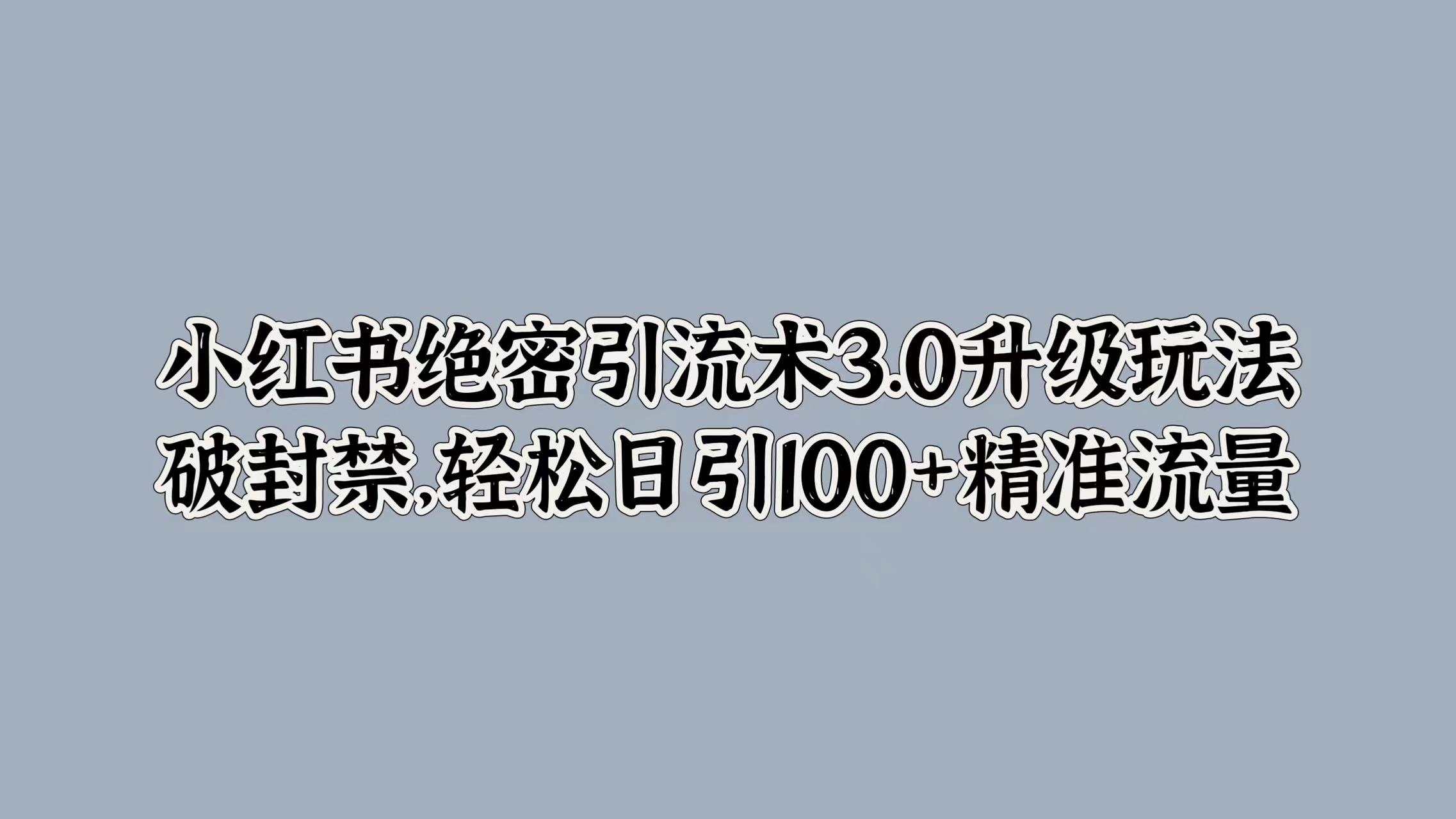 小红书绝密引流术3.0升级玩法，破封禁，轻松日引100+精准流量-左左项目网