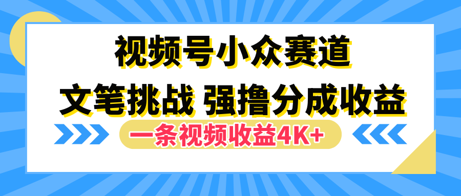 视频号小众赛道，文笔挑战，一条视频收益4K+-左左项目网