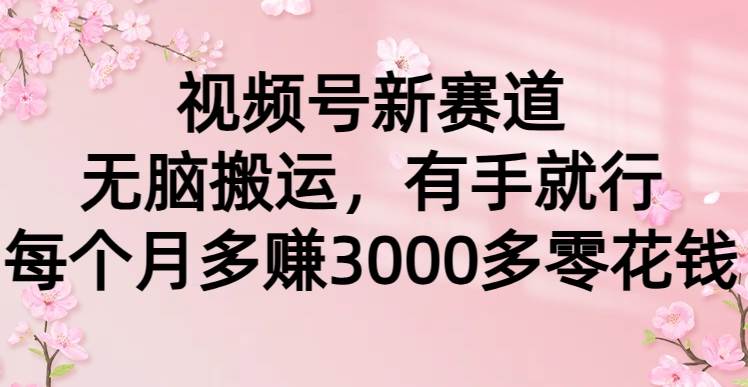 视频号新赛道，无脑搬运，有手就行，每个月多赚3000多零花钱-左左项目网