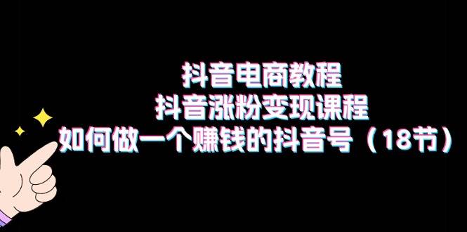 抖音电商教程：抖音涨粉变现课程：如何做一个赚钱的抖音号（18节）-左左项目网